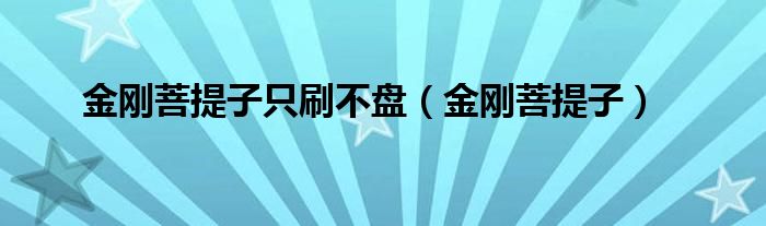 金刚菩提子只刷不盘(金刚菩提子)