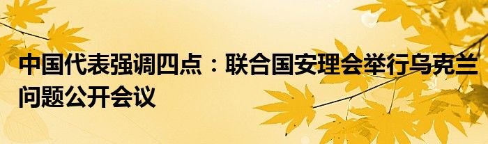中国代表强调四点:联合国安理会举行乌克兰问题公开会议