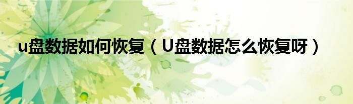 u盘数据如何恢复(U盘数据怎么恢复呀)