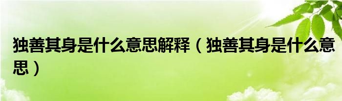 独善其身是什么意思解释(独善其身是什么意思)