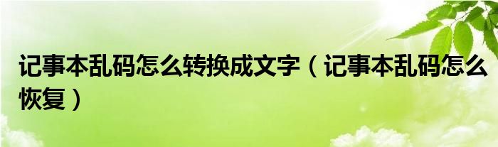 记事本乱码怎么转换成文字(记事本乱码怎么恢复)