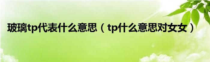 玻璃tp代表什么意思(tp什么意思对女女)