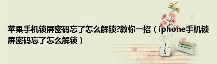 苹果手机锁屏密码忘了怎么解锁?教你一招(iphone手机锁屏密码忘了怎么解锁)