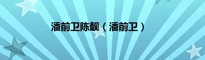 潘前卫陈靓（潘前卫）