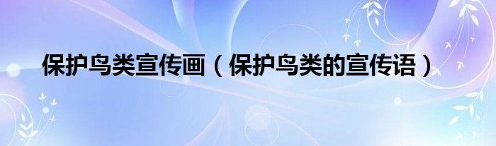 保护鸟类宣传画(保护鸟类的宣传语)