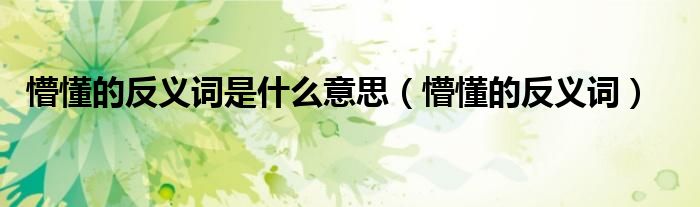懵懂的反义词是什么意思(懵懂的反义词)