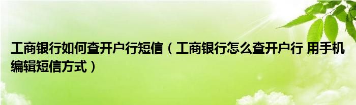 工商银行如何查开户行短信(工商银行怎么查开户行 用手机编辑短信方式)