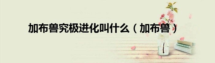 加布兽究极进化叫什么(加布兽)