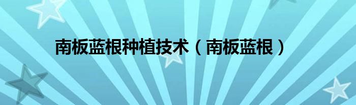 南板蓝根种植技术(南板蓝根)
