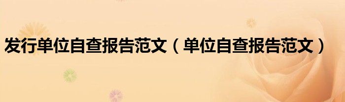发行单位自查报告范文(单位自查报告范文)
