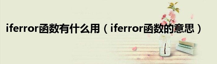 iferror函数有什么用(iferror函数的意思)