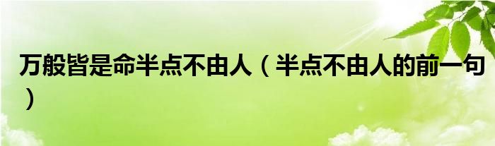 万般皆是命半点不由人(半点不由人的前一句)