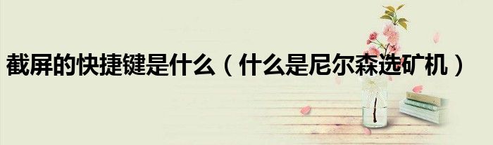 截屏的快捷键是什么(什么是尼尔森选矿机)