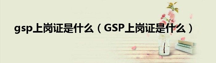 gsp上岗证是什么(GSP上岗证是什么)