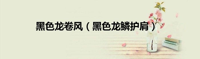 黑色龙卷风(黑色龙鳞护肩)