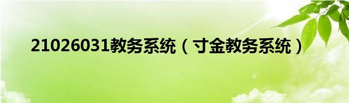 21026031教务系统(寸金教务系统)