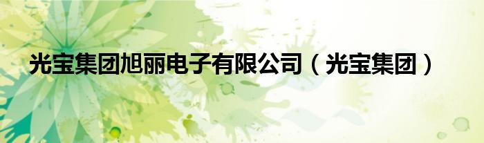 光宝集团旭丽电子有限公司(光宝集团)