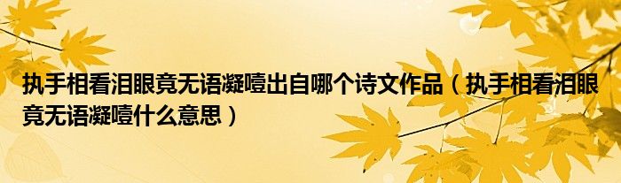 执手相看泪眼竟无语凝噎出自哪个诗文作品(执手相看泪眼竟无语凝噎什么意思)