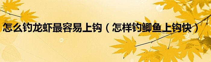 怎么钓龙虾最容易上钩(怎样钓鲫鱼上钩快)