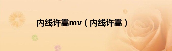 内线许嵩mv(内线许嵩)