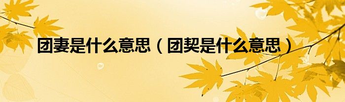 团妻是什么意思(团契是什么意思)