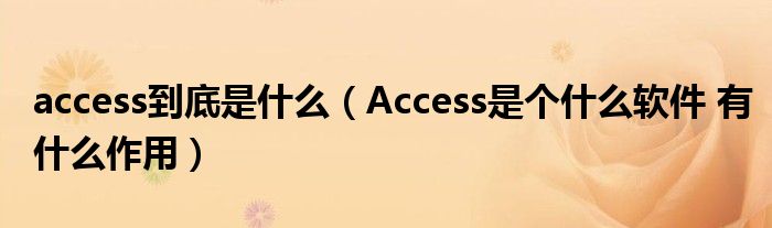 access到底是什么(Access是个什么软件 有什么作用)