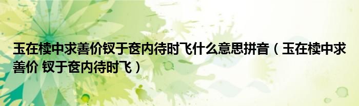 玉在椟中求善价钗于奁内待时飞什么意思拼音(玉在椟中求善价 钗于奁内待时飞)