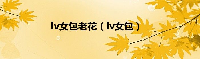 lv女包老花(lv女包)