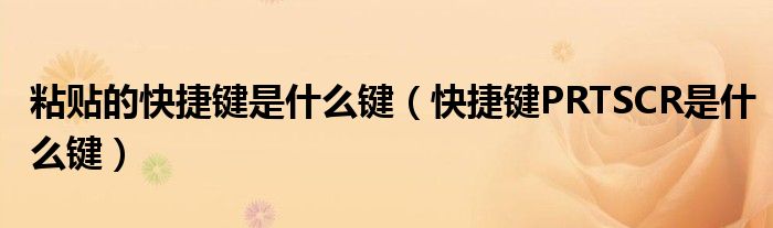 粘贴的快捷键是什么键(快捷键PRTSCR是什么键)