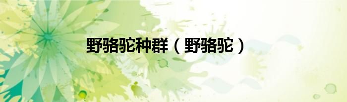 野骆驼种群（野骆驼）