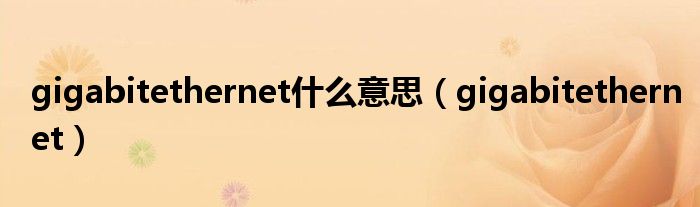 gigabitethernet什么意思(gigabitethernet)