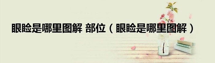 眼睑是哪里图解 部位(眼睑是哪里图解)
