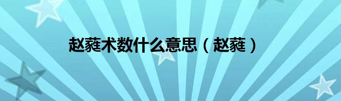 赵蕤术数什么意思(赵蕤)