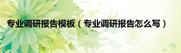 专业调研报告模板(专业调研报告怎么写)