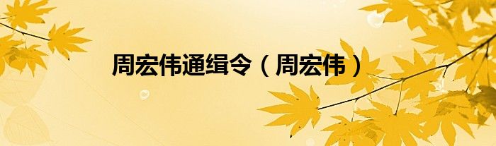 周宏伟通缉令(周宏伟)