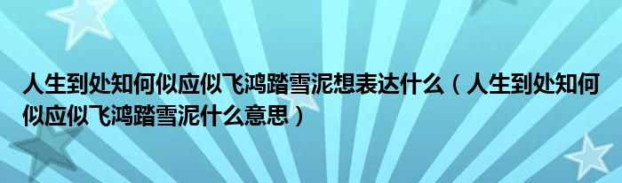 人生到处知何似应似飞鸿踏雪泥想表达什么(人生到处知何似应似飞鸿踏雪泥什么意思)