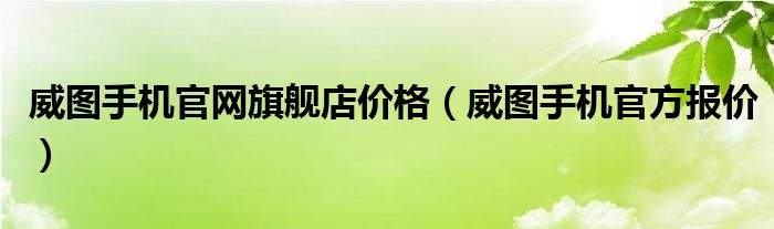 威图手机官网旗舰店价格(威图手机官方报价)