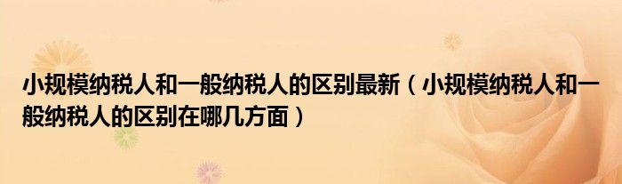小规模纳税人和一般纳税人的区别最新(小规模纳税人和一般纳税人的区别在哪几方面)