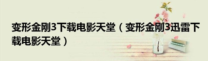 变形金刚3下载电影天堂(变形金刚3迅雷下载电影天堂)