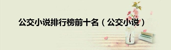 公交小说排行榜前十名(公交小说)