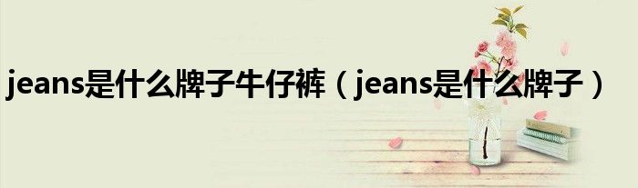 jeans是什么牌子牛仔裤(jeans是什么牌子)