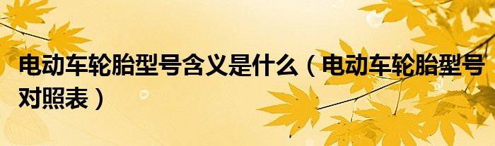电动车轮胎型号含义是什么(电动车轮胎型号对照表)