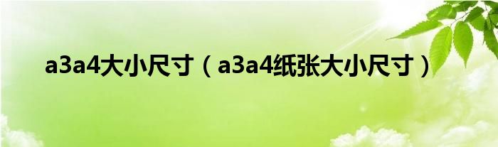 a3a4大小尺寸(a3a4纸张大小尺寸)