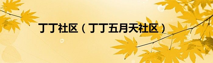 丁丁社区(丁丁五月天社区)