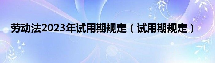 劳动法2023年试用期规定(试用期规定)