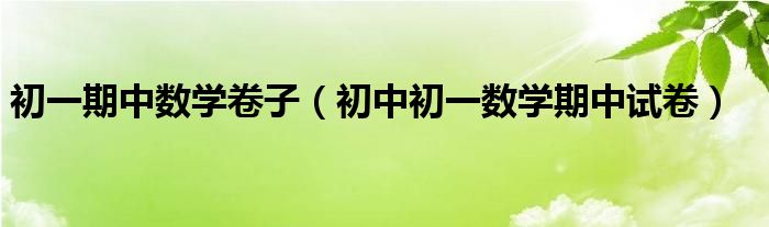 初一期中数学卷子(初中初一数学期中试卷)