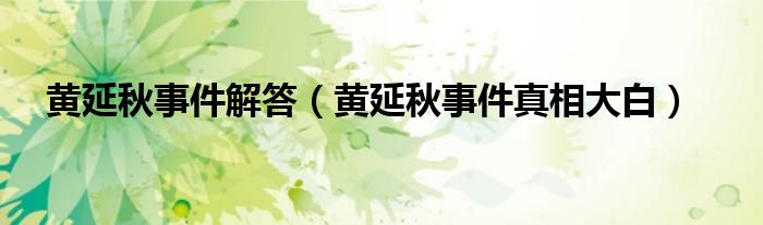 黄延秋事件解答(黄延秋事件真相大白)