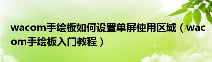 wacom手绘板如何设置单屏使用区域(wacom手绘板入门教程)