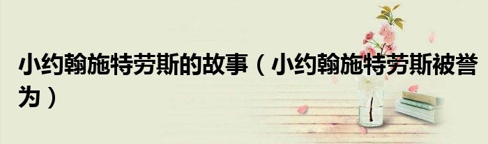 小约翰施特劳斯的故事(小约翰施特劳斯被誉为)