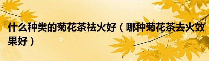 什么种类的菊花茶祛火好(哪种菊花茶去火效果好)